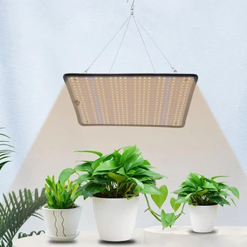 100W LED Grow Light Su Kabliukais Didelio Ryškumo Visą Spektrą Augalų Šviesos Kambarinių Augalų Daržovių ir Gėlių (300 X 300 X 10)